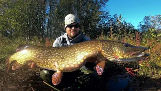 MY RECORD BREAKING MONSTER PIKE - AUTUMN PIKE FISHING IN FINLAND - ENGLISH SUBTITLES