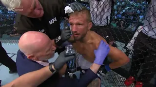 Aljamain Sterling vs TJ Dillashaw   FREE FIGHT   UFC 292