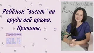 Ребёнок часто сосёт грудь. Мало молока. Причины. Грудное вскармливание