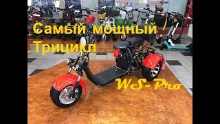 Обзор электроскутера Трицикл Citycoco WS-Pro 2000W, 60В 20Ah