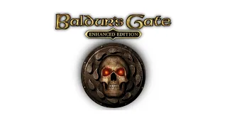 Baldur's Gate: Best First Character Class To Play?