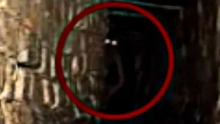 #5 Sewer Creature Caught on Camera in Real Life