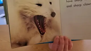 Arctic Fox Non-Fiction Book