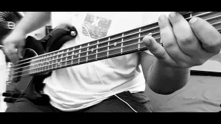 Despised Icon-made of glass(bass cover)