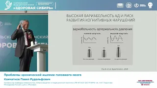 Камчатнов Павел Рудольфович Проблемы хронической ишемии головного мозга