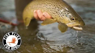 Five Flies for April 2019 - Fly Fishing the Colorado River in Spring