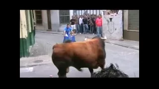 TOROS CERRILES DE CEBADA GAGO I OSBORNE DE ALMASSORA 2010