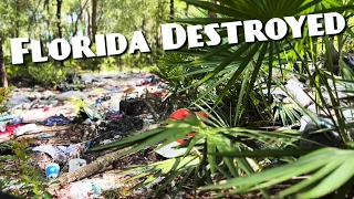 Florida Is Destroyed! The Ecological Impacts Thousands Of Homeless Camps Are Having