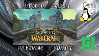 World of Warcraft: Wrath of the Lich King( 3.3.5a). Просто играю (Manjaro+PortProton-90) . Стрим 07