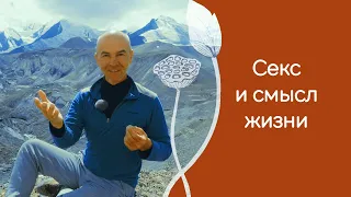 Секс и смысл жизни: новый взгляд на сексуальность