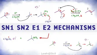 SN1 SN2 E1 E2 Reaction Mechanism Overview