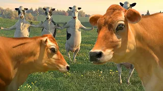 FUNNY COW DANCE 7 │ Cow Dance Song & Cow Videos 2024