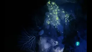 Los colores del agua Un toque de fluorescencia