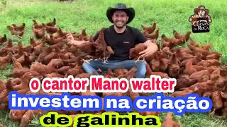 o forrozeiro Mano Walter  investem na criação de galinha poedeira
