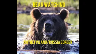 EPIC BEAR WATCHING ADVENTURE IN KUUSAMO ON FINLAND-RUSSIA BORDER!