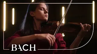 Bach - Loure from Violin partita in E major BWV 1006 - Van Leeuwen | Netherlands Bach Society