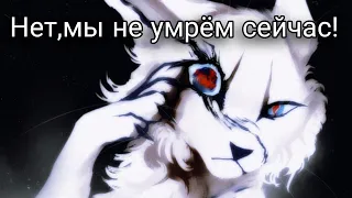 КОТЫ ВОИТЕЛИ КЛИП МЫ НЕ УМРЕМ СЕЙЧАС!