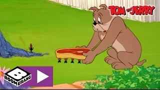 Tom und Jerry | Ameisen Armee | Cartoonito
