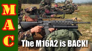 AR15A2's are back! A buyers guide to the latest A2's.