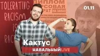 🌵 Насилие. Расизм. Песков не в курсе, Путину все равно