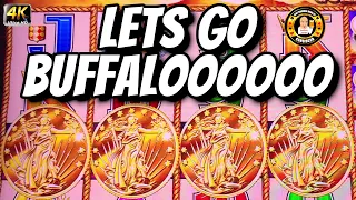 Lets Go Buffalo - Buffalo Gold Slot Machine