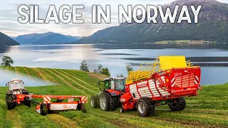 Silage in Norway 2022