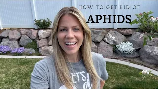 How to Get Rid of Aphids in your Garden :: Mountain Valley Garden