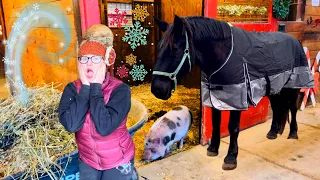 PREPPING THE BARN FOR A MAJOR WINTER STORM!