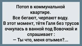 Потоп в Коммунальной Квартире! Сборник Свежих Анекдотов! Юмор!