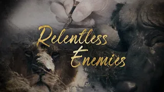 Relentless Enemies Trailer - Wildlife Films - National Geographic