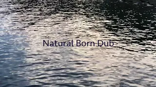 藤原ヒロシ Hiroshi Fujiwara - Natural Born Dub