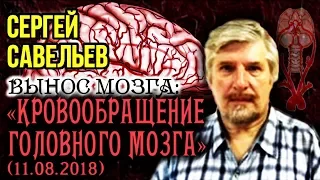 «ВЫНОС МОЗГА #51»: «Кровообращение головного мозга». 11.08.2018. Савельев С.В.