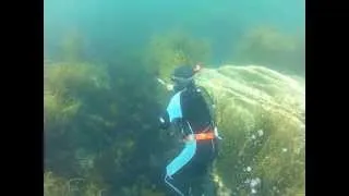 Talland Bay Dive