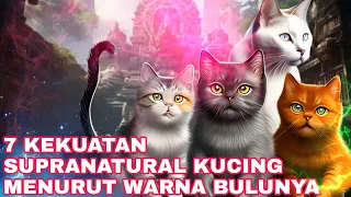 KUCING INI BIKIN KAYA DADAKAN!!!_7 KEISTIMEWAAN KUCING MENURUT WARNA BULUNYA_KITAB PRIMBON JAWA KUNO