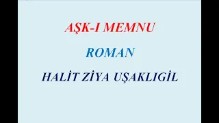 AŞK I MEMNU, ROMAN ÖZETİ, HALİT ZİYA UŞAKLIGİL