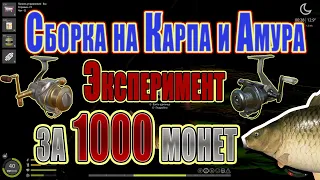 Эксперимент сборки на Карпа и Амура за 1000 монет❗ Русская рыбалка 4❗ РР4❗ Карп❗Амур ❗ Эксперимент❗