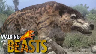 Walking With Beasts [2001] - Andrewsarchus Screen Time