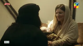 Hamara Beta Koi Khushkbari Leke Aaye Ga...!!  Sultan Salahuddin Ayyubi - HUM TV