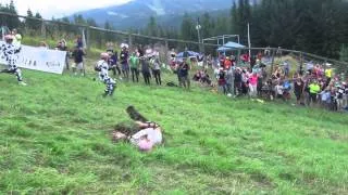 Cheese Rolling Crash