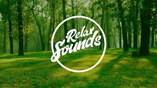 Лесной луг | Звуки релакса / Relax Sounds