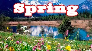 Швейцарская весна: природа просыпается. Swiss spring.