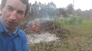 facendo limpieza de maleza e restos agricolas.