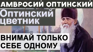 Внимай только себе одному! Остальных предоставь Промыслу. Амвросий Оптинский