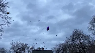 Balloons released in memory of Deandre Jones of Kalamazoo