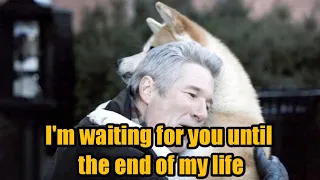 9 Years, 9 Months, 15 Days, Faithful Hachiko Waits for the Rest of His Life || Spirit Of Life