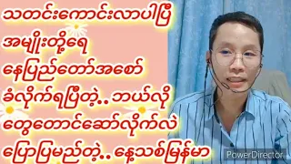 နေပြည်တော် စော်ပလော်တီးခံရပြီတဲ့..#နေ့သစ်မြန်မာ#နွေဦးတော်လှန်ရေး_မုချအောင်ရမည်