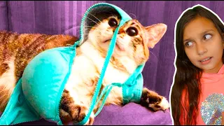 САМЫЕ СМЕШНЫЕ 😻КОТЫ и 🐶СОБАКИ на КАНИКУЛАХ! НЕ ЗАСМЕЙСЯ ЧЕЛЛЕНДЖ Funny Cats Реакции Валеришка