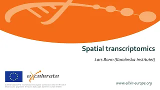 11. Spatial transcriptomics