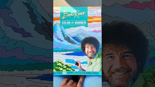 Bob Ross Color-By-Number Coloring Book 🎨 | How did I do?