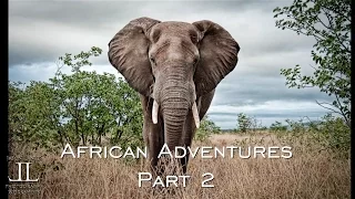 African Adventures Part 2- ELEPHANT CHASE in Kruger National Park by Jason Lanier